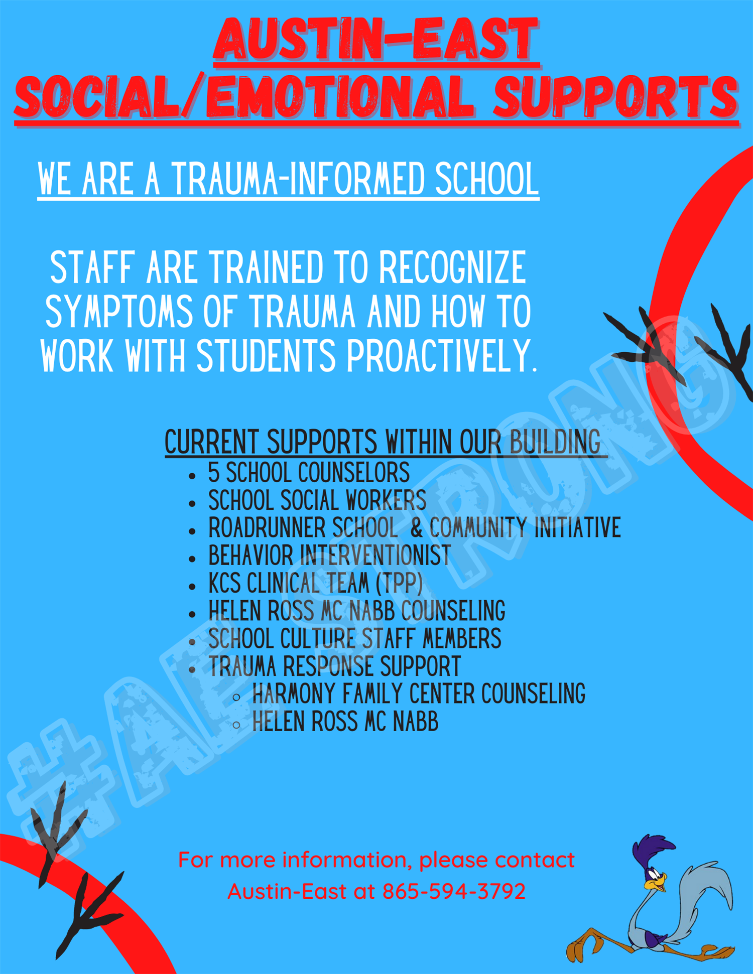 Social/Emotional Supports